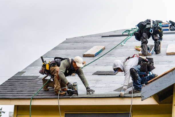 Professional Storm Damage Roof Repair technician working in Bird Island, MN